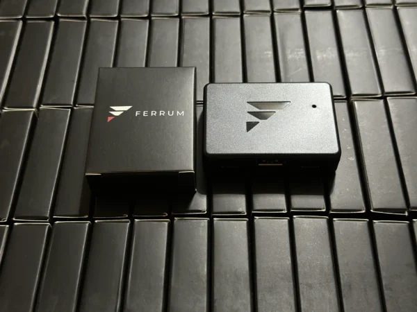 Ferrum - Image 8
