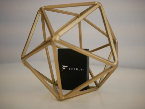 Ferrum - Image 3